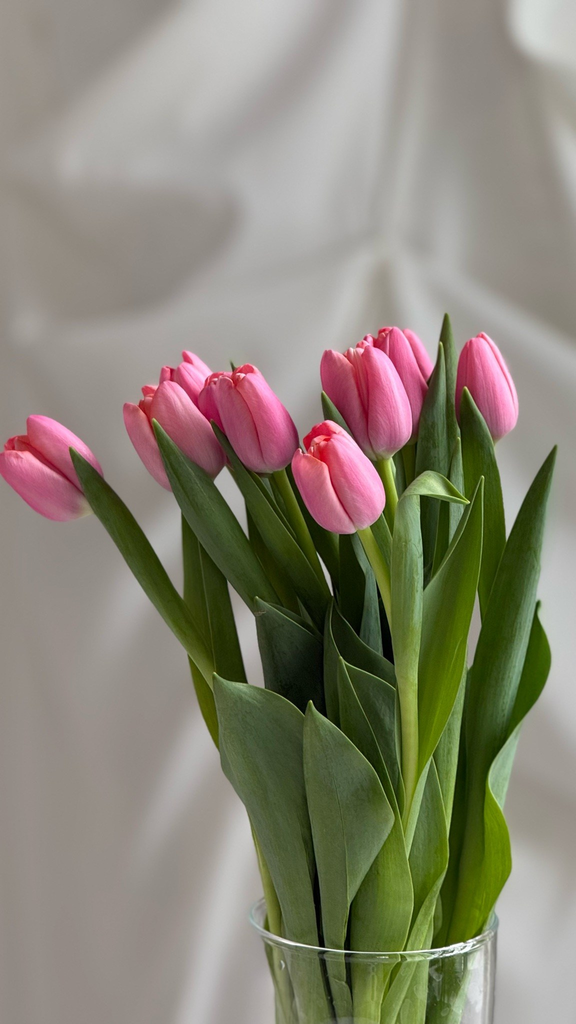 ME & YOU (Зал «Воздух»). Семейный и свадебный фотограф в Воронеже Майя Добровольская