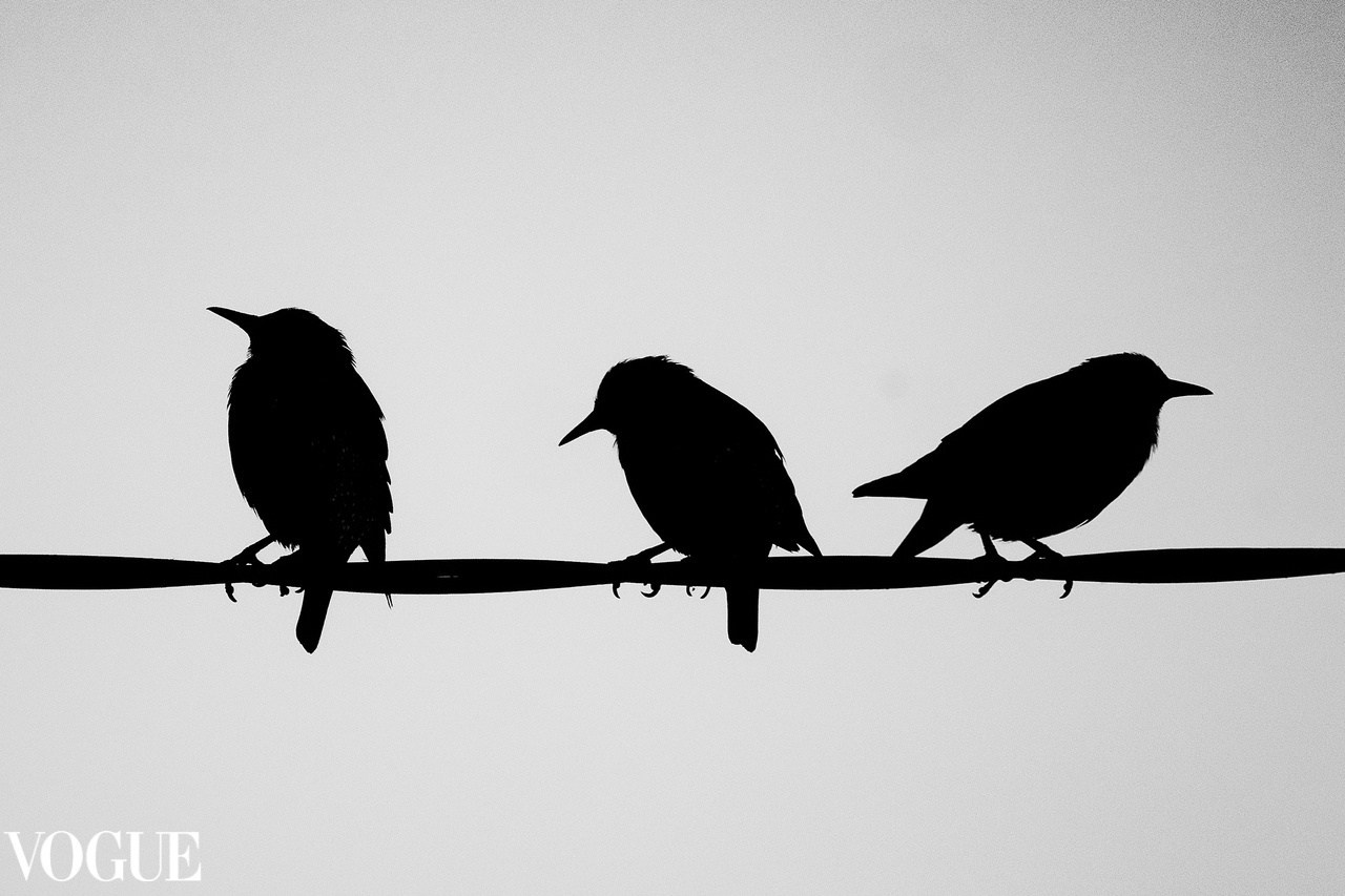 PhotoVogue. Фотографии Лены Соколовой