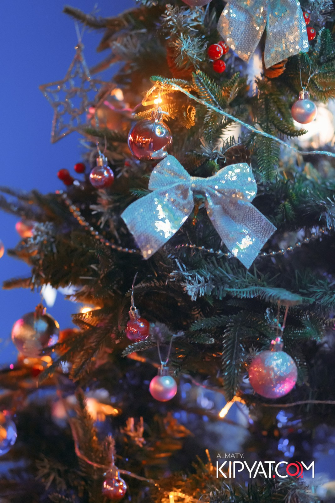 VICE CITY. КИПЯТКОМ АЛМАТЫ! Фотосъемка мероприятий в Алматы