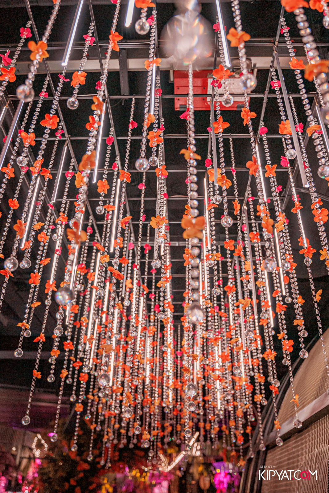 FRIENDS BAR & TERRACE. КИПЯТКОМ АЛМАТЫ!