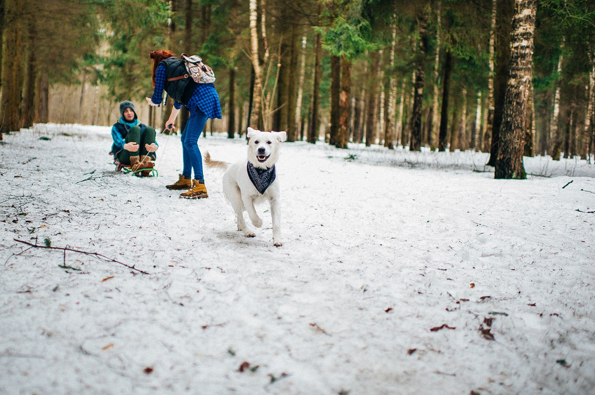 ШАНТИ и СЕМЬЯ. Свадебный и семейный фотограф РИТА БОЧКАРЁВА