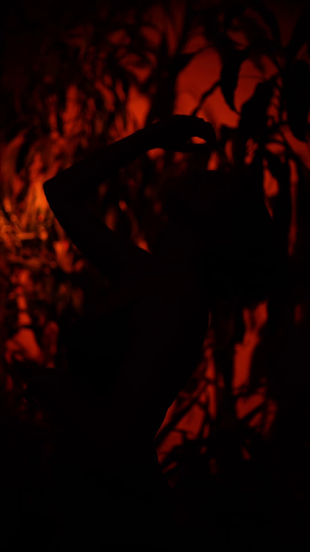 Reels/клипы. Видеограф Москва | Видеограф Антон