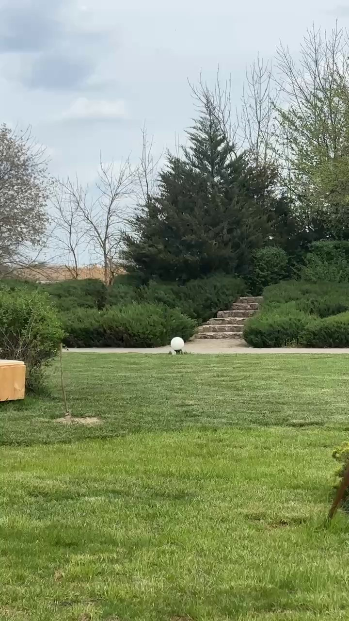 Ближняя дача