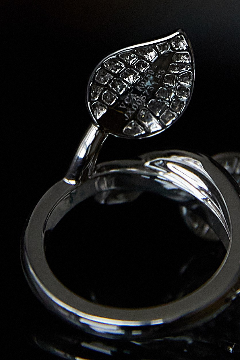 Ювелирные украшения. Фотограф