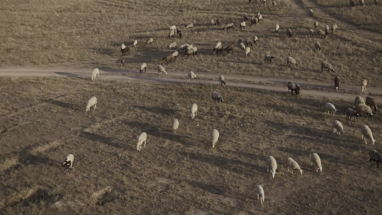 UZATU. Свадебный видеограф