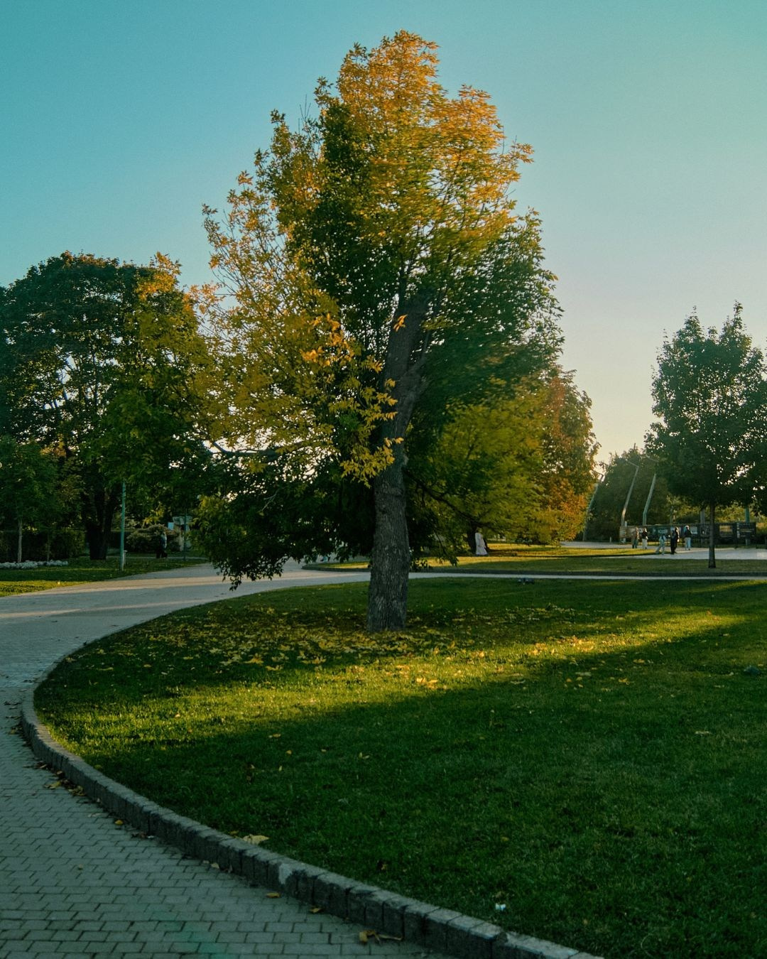 Фотошкола Таты Пахомовой. Творческая Таты Пахомовой