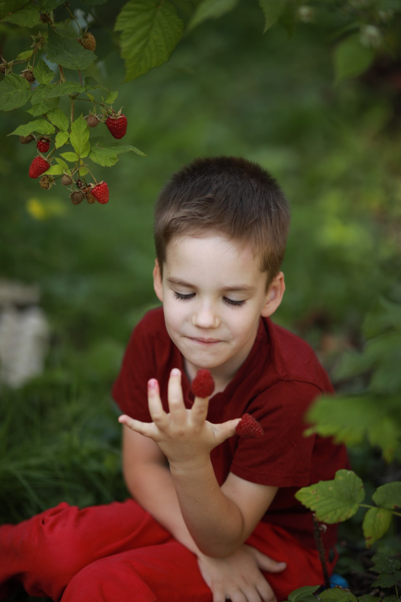 Ягода-малина. Фотограф Юлия Рязанова Москва семейный и детский