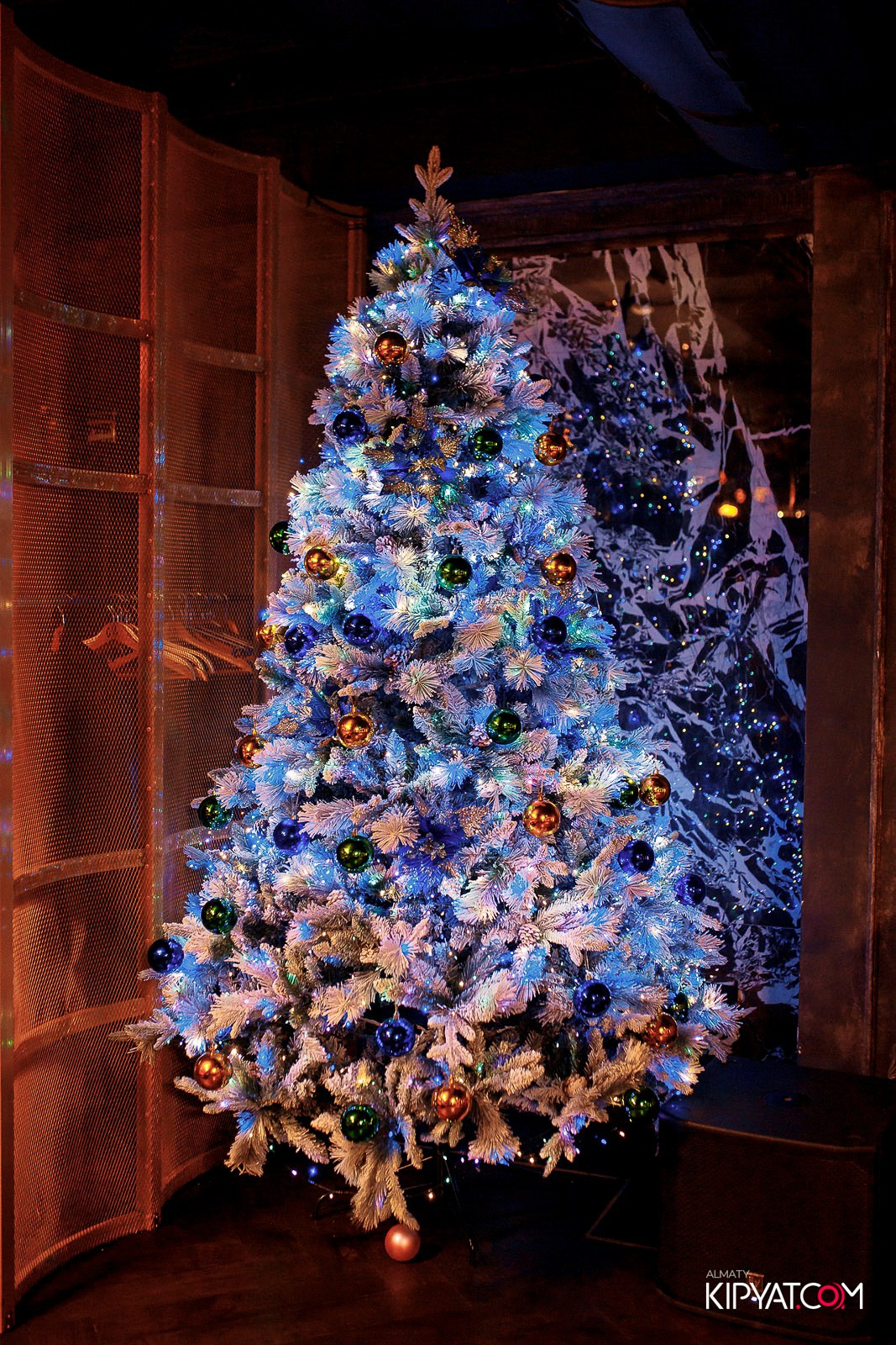 SPACE KARAOKE BAR. КИПЯТКОМ АЛМАТЫ! Фотосъемка мероприятий в Алматы