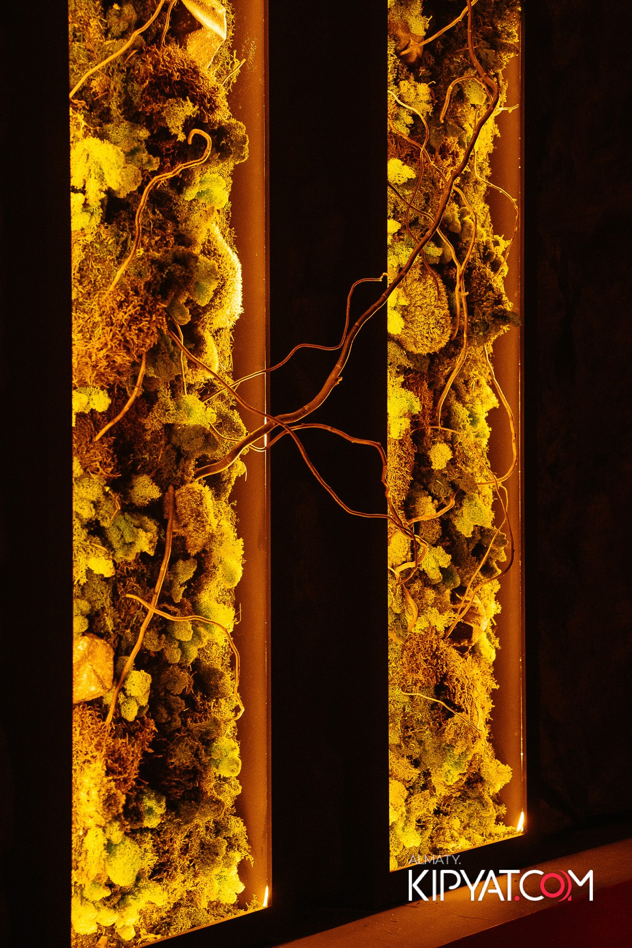 HOOKAH PLACE ALMATY. КИПЯТКОМ АЛМАТЫ!