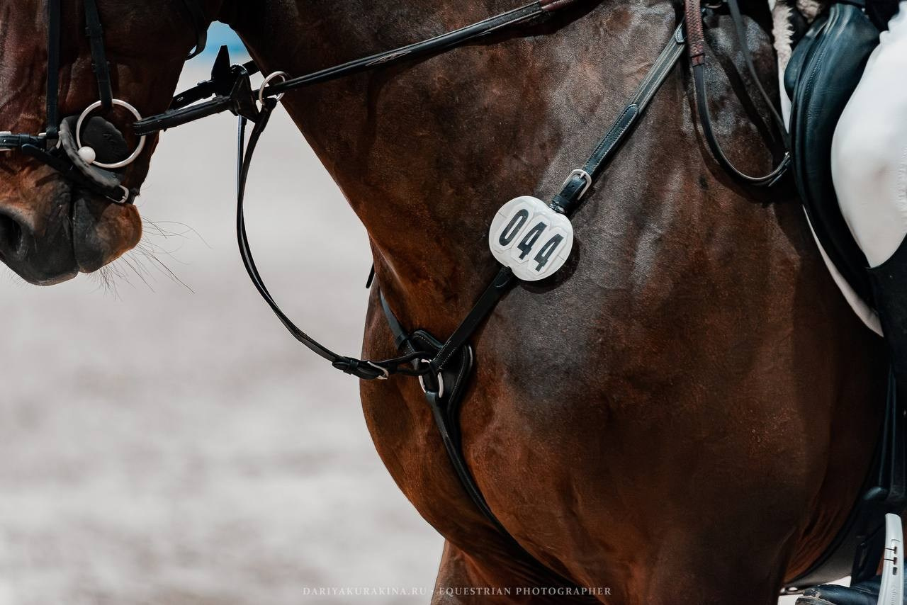 ВСЕРОССИЙСКИЕ СОРЕВНОВАНИЯ ПО КОНКУРУ НА ПРИЗЫ КСК «ВИВАТ, РОССИЯ». Куракина Дарья • Конный фотограф