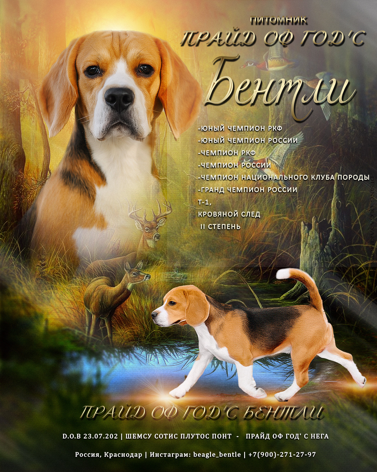 Animal presentation. Фотограф