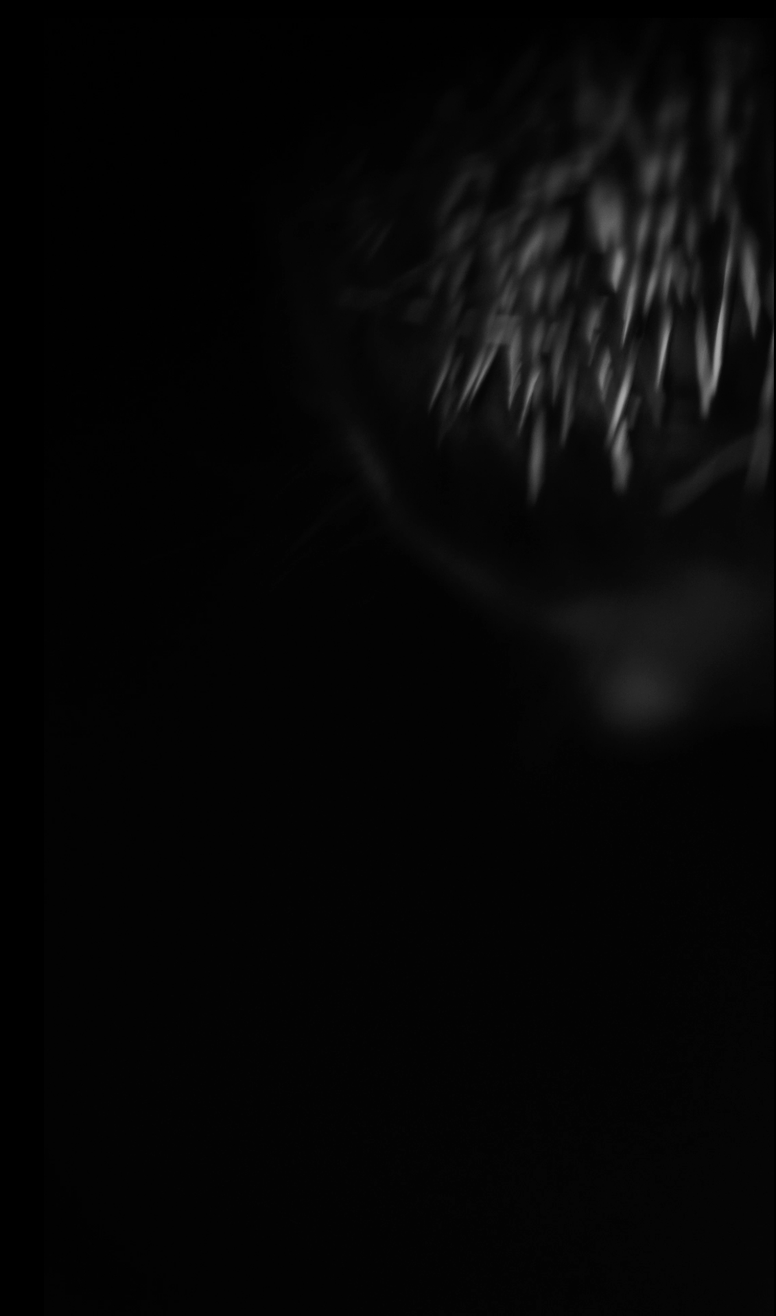 Видеоинсталляция Место Пробела. Художественная группа «Нежные Бабы»