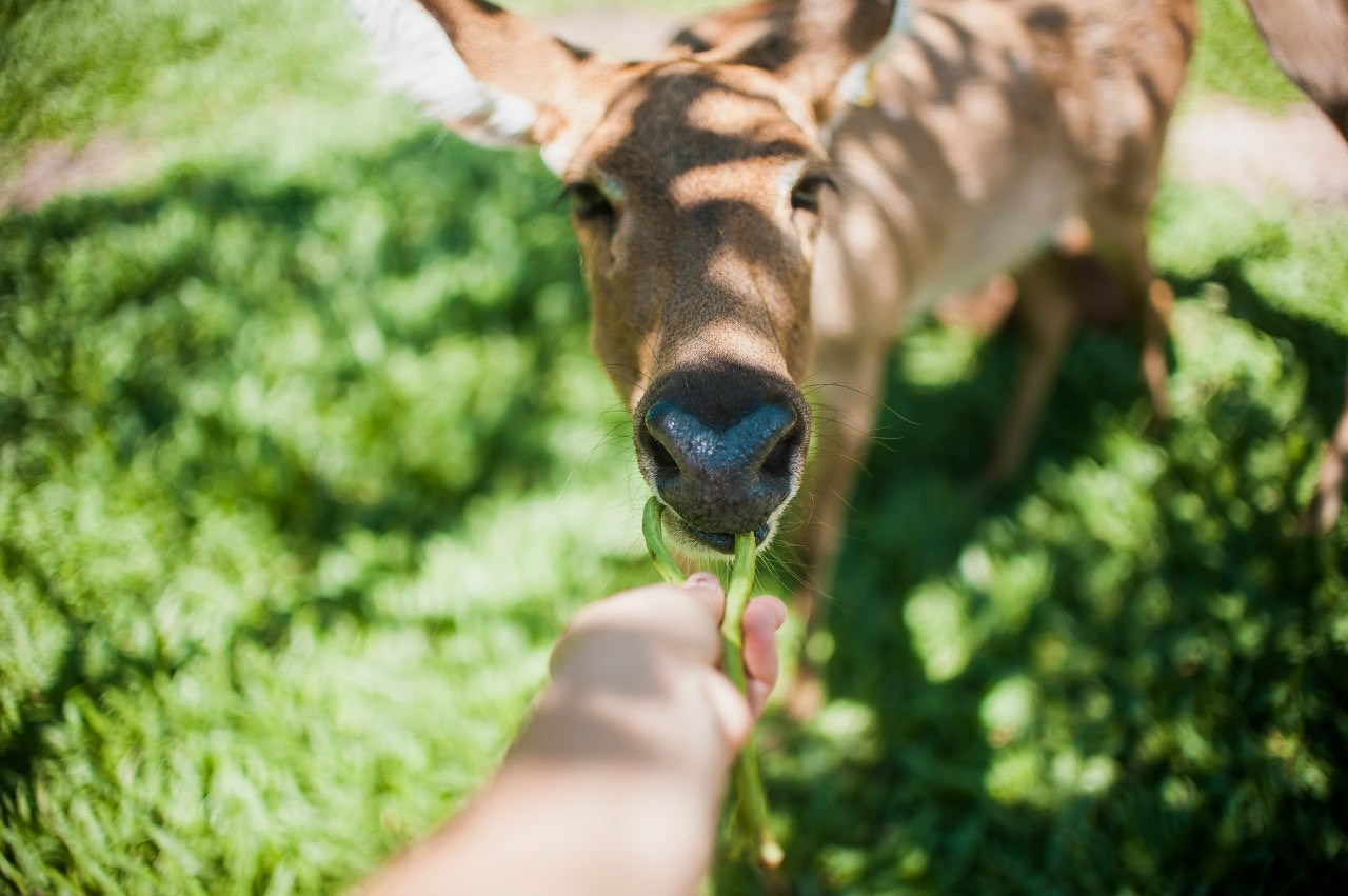 МОЙ 2014. Фотограф