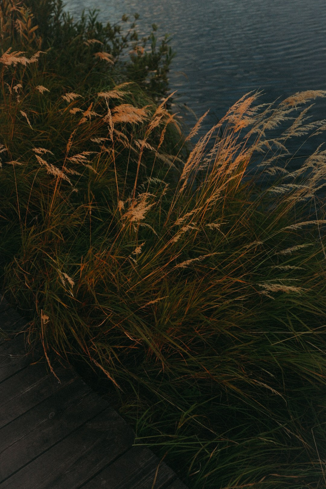 Максим и Лиза. Фотограф Нижний Новгород