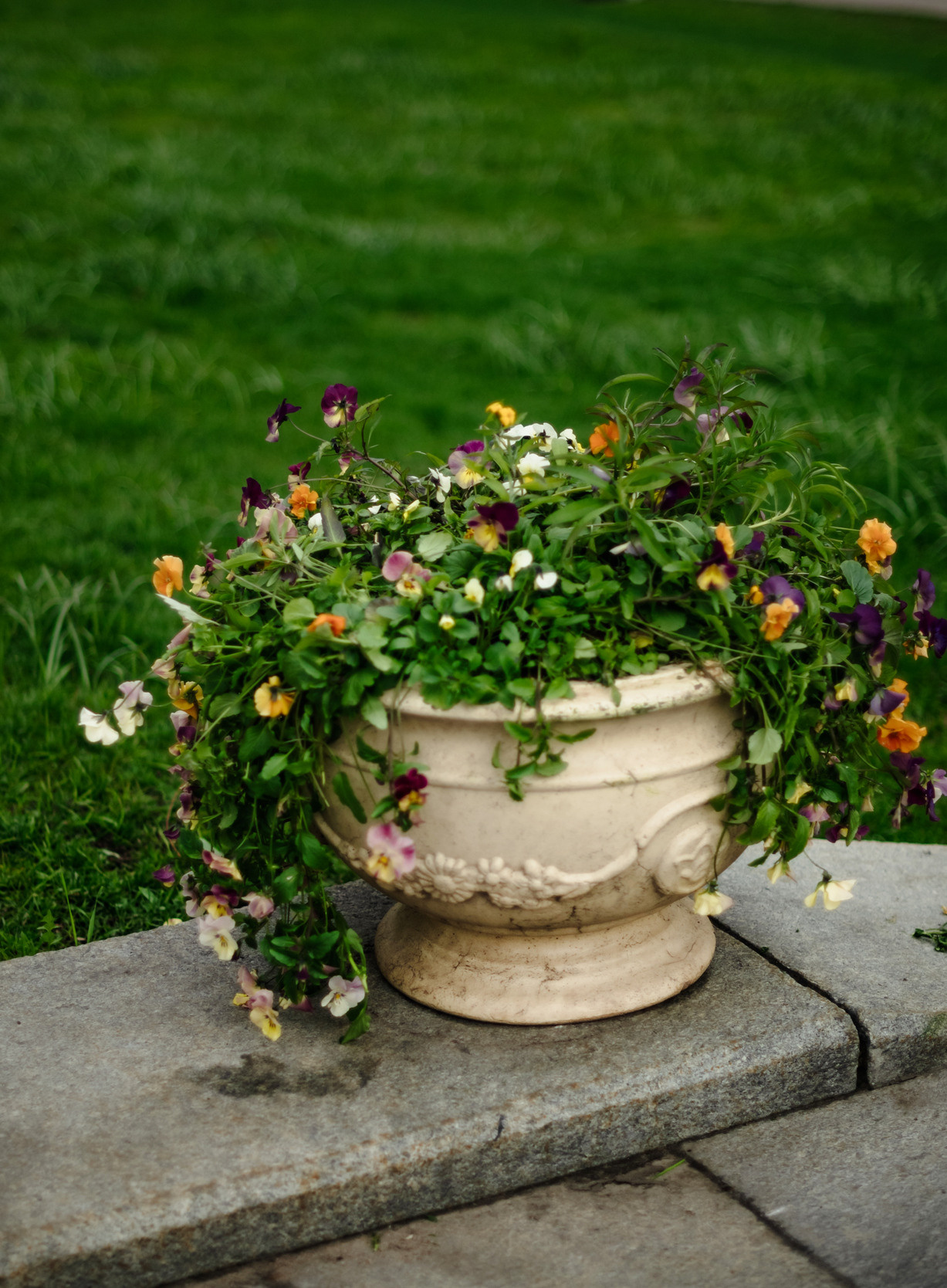 Московская прогулка. Свадебный и семейный фотограф в Новосибирске, Санкт-Петербурге, Москве