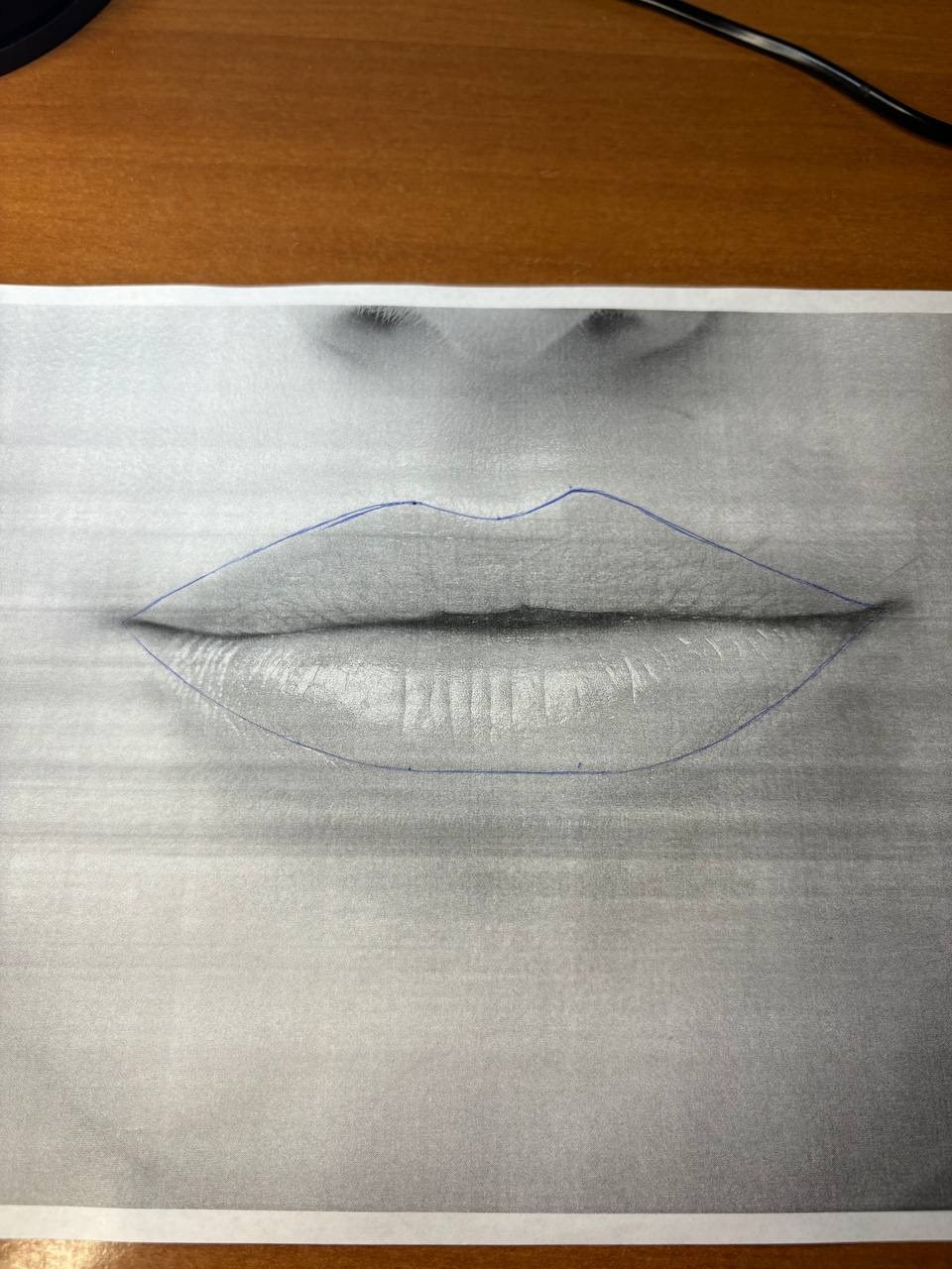 Обучение. Перманент PigmentLab Olga