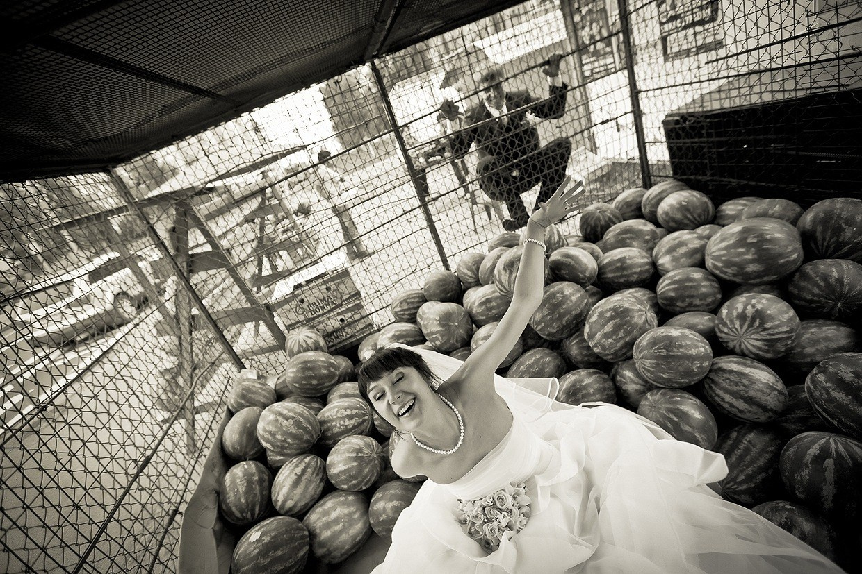 жених пытается пролезть в клетку с горой арбузов на которой сидит его невеста 