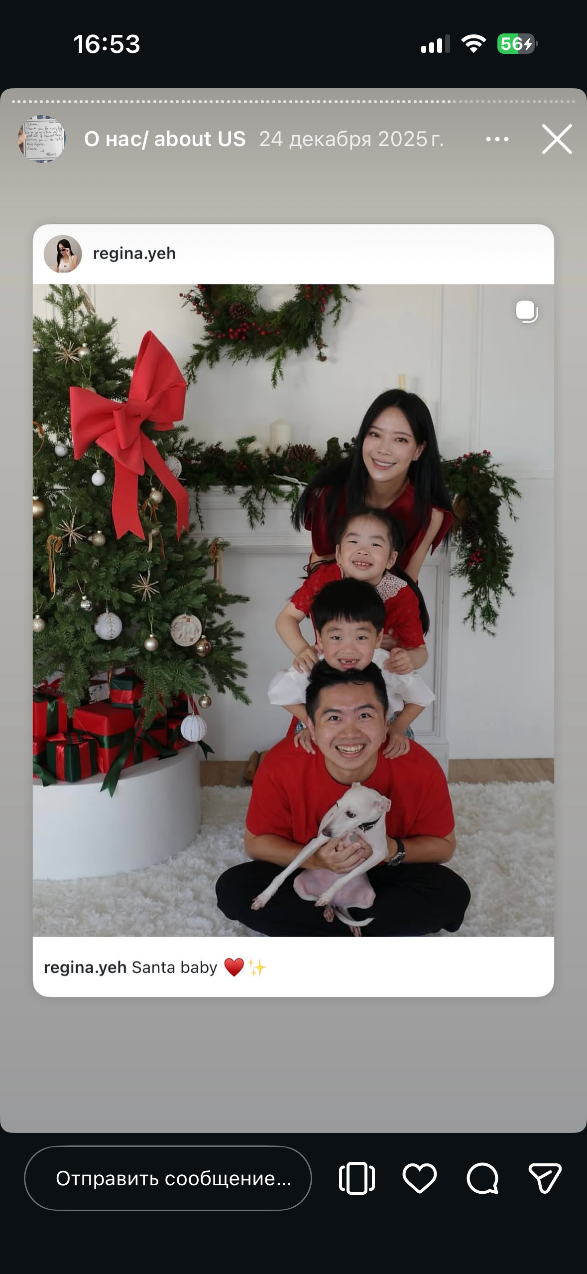 Отзывы от наших любимых владельцев. Профессиональный питомник левреток РКФ/FCI ASTI SAPPHIRE 💎 Сочи|Санкт-Петербург