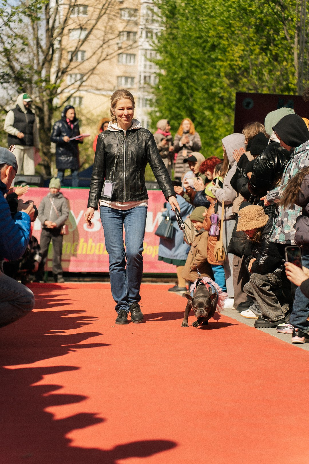 Парад Бульдогов. Axenov_eugene