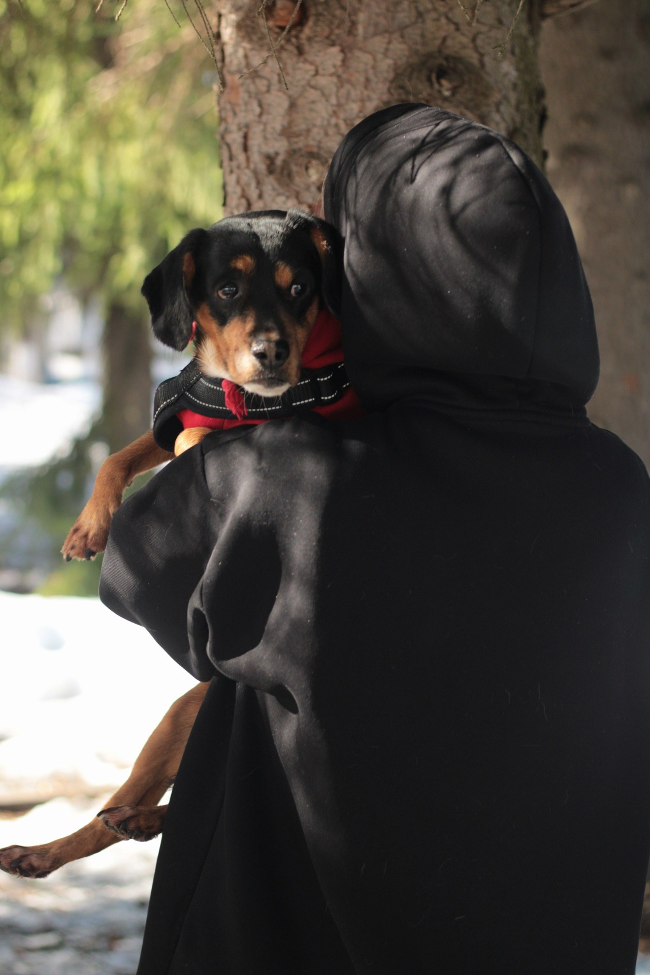 Маша и Кекс. Катя Попова|ЛайфСтайл фотограф