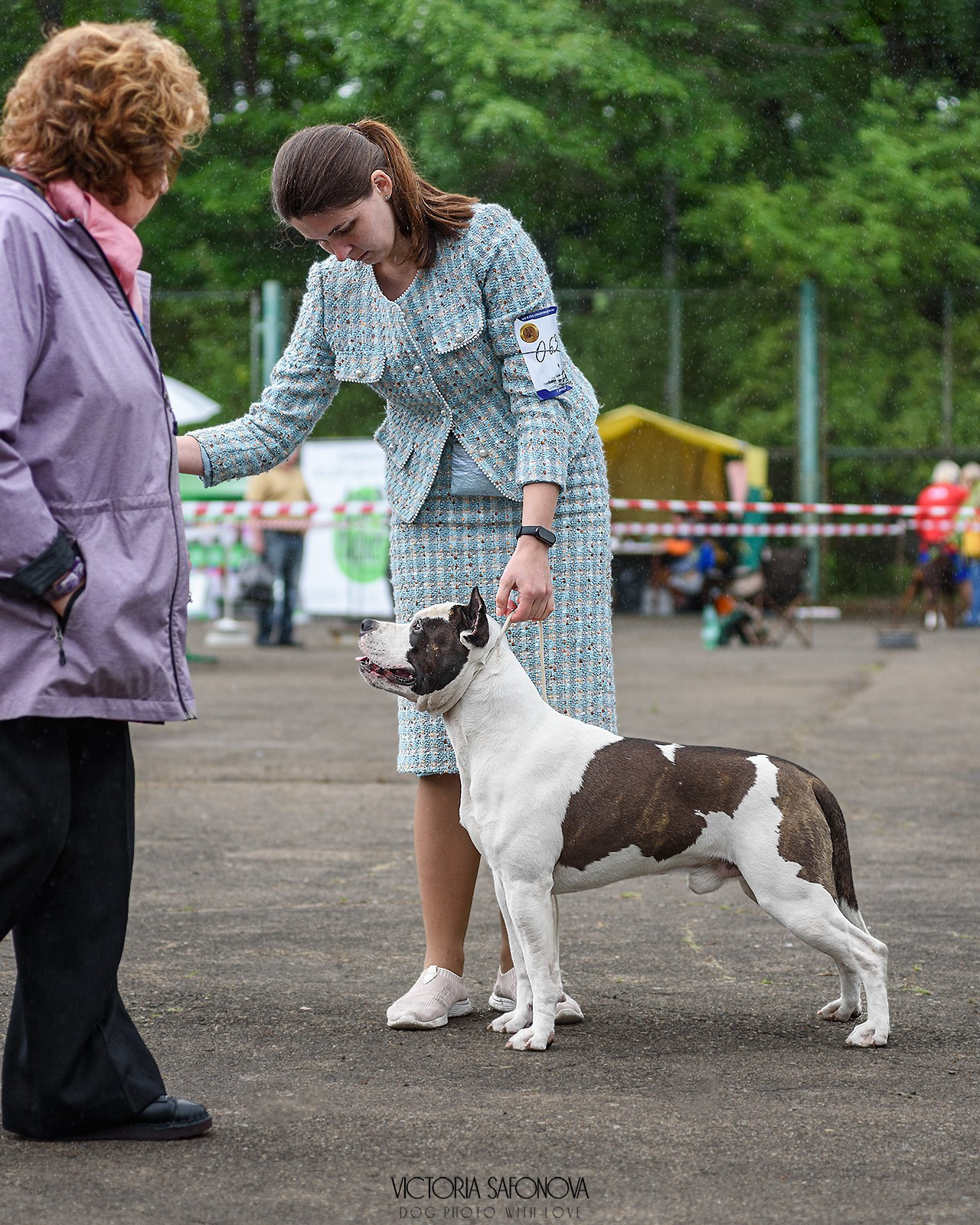 15 июня 2024 Биробиджан. Фотограф анималист Благовещенск. Сафонова Виктория