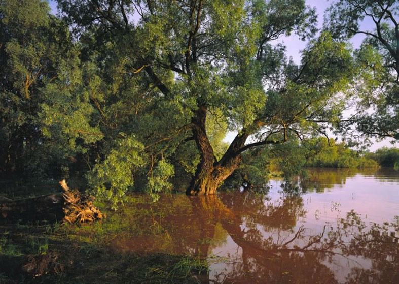 Весна. ВАДИМ ГИППЕНРЕЙТЕР — ВЕЛИКИЙ ФОТОГРАФ ЗЕМЛИ РУССКОЙ