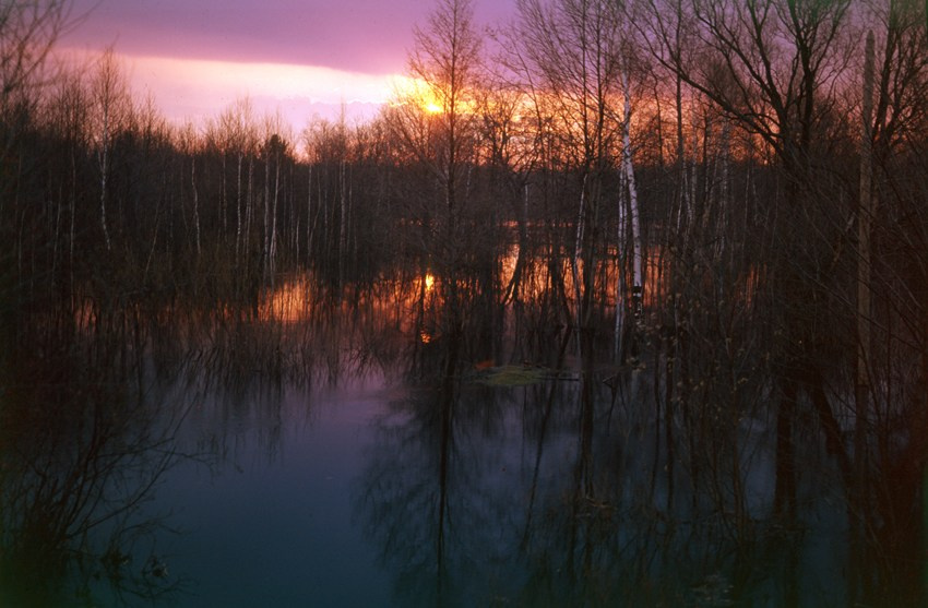 Весна. ВАДИМ ГИППЕНРЕЙТЕР — ВЕЛИКИЙ ФОТОГРАФ ЗЕМЛИ РУССКОЙ