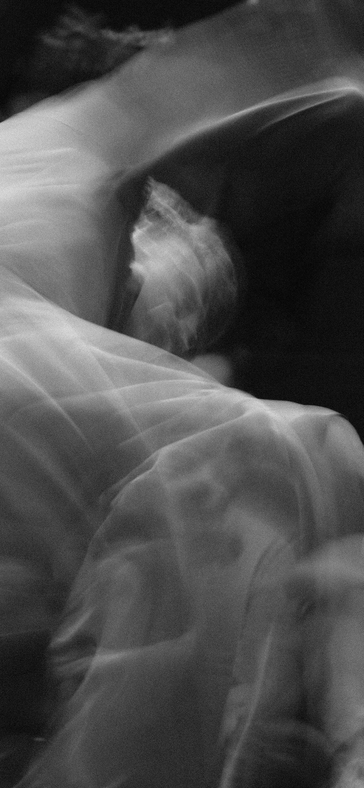 NBD 2023. LIYALEE PHOTO