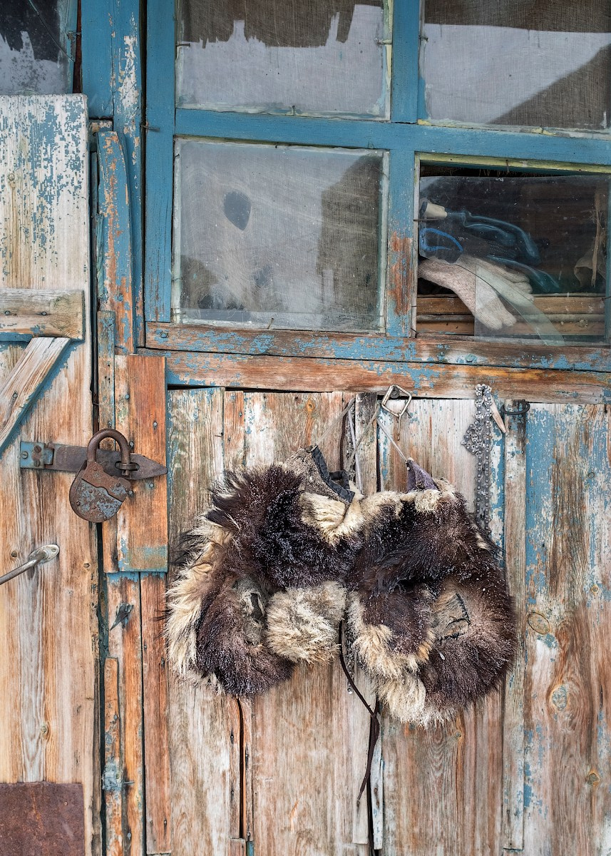 Атлас первого снега серия фотографий. Елена Аносова — художница и исследовательница, куратор и лектор