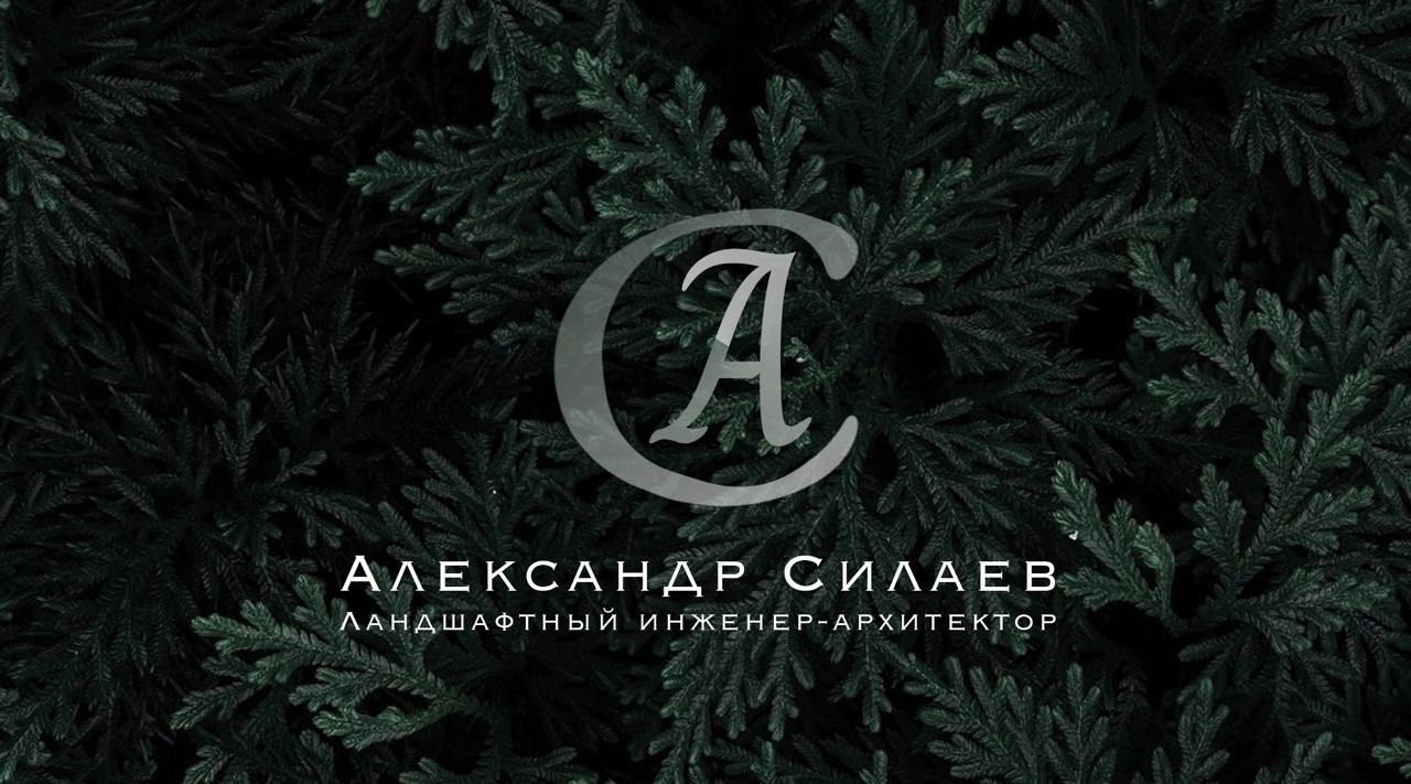 Графический дизайн. Алина Силаева. Фотограф. Контент-менеджер