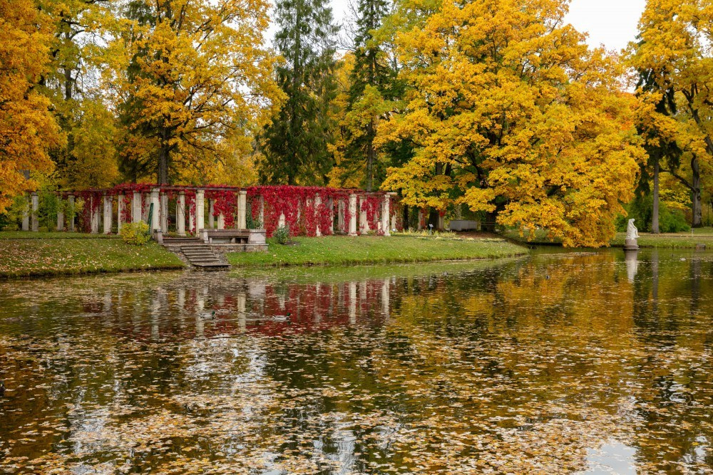 Локации в Петергофе