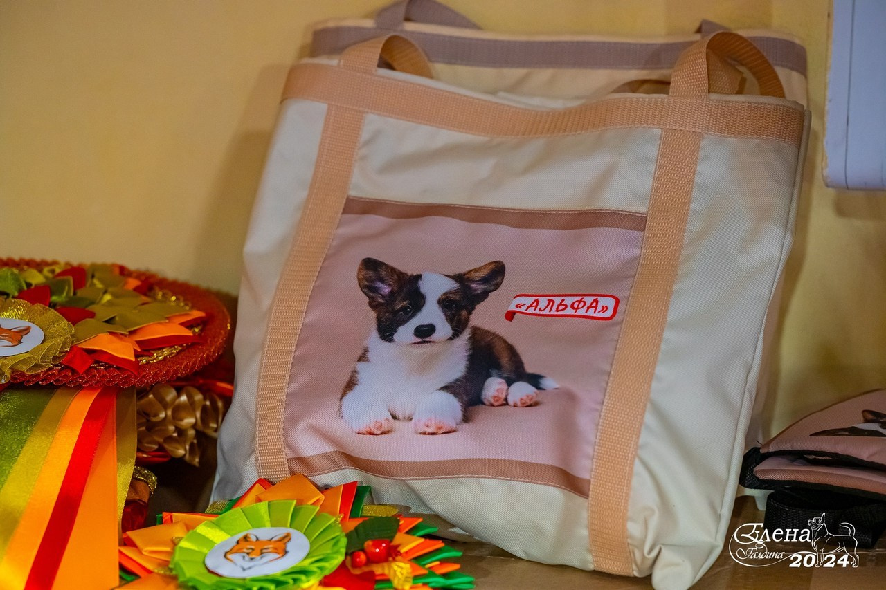 Отзывы. Фотограф анималист Елена Галдина г. Красноярск