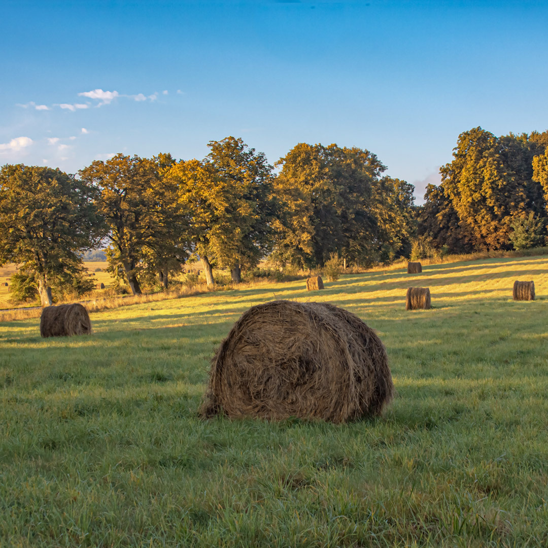 Пейзажи. Фотограф Павел Дунюшкин, г.Зеленоградск Калининградской области