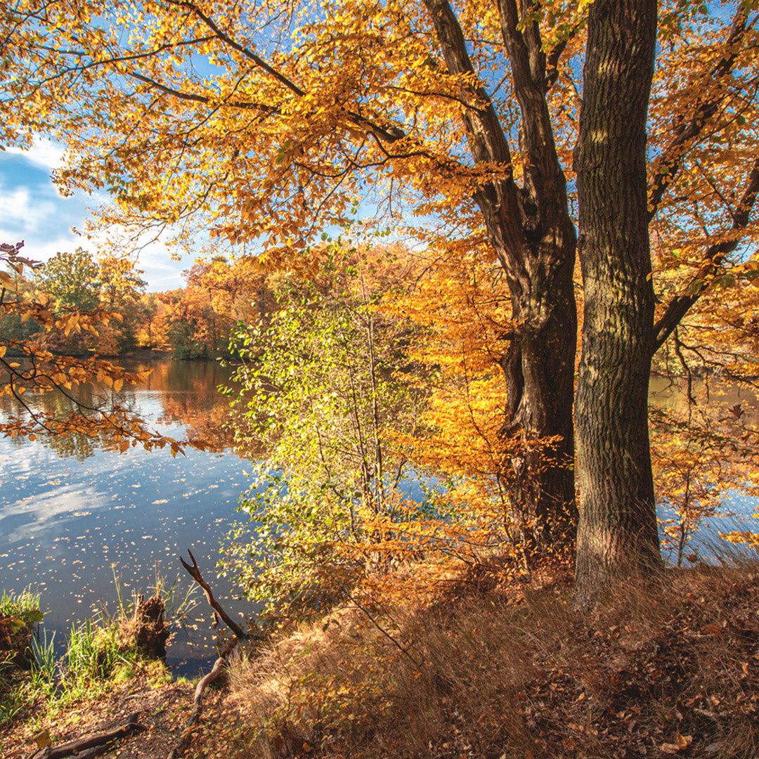 Пейзажи. Фотограф Павел Дунюшкин, г.Зеленоградск Калининградской области