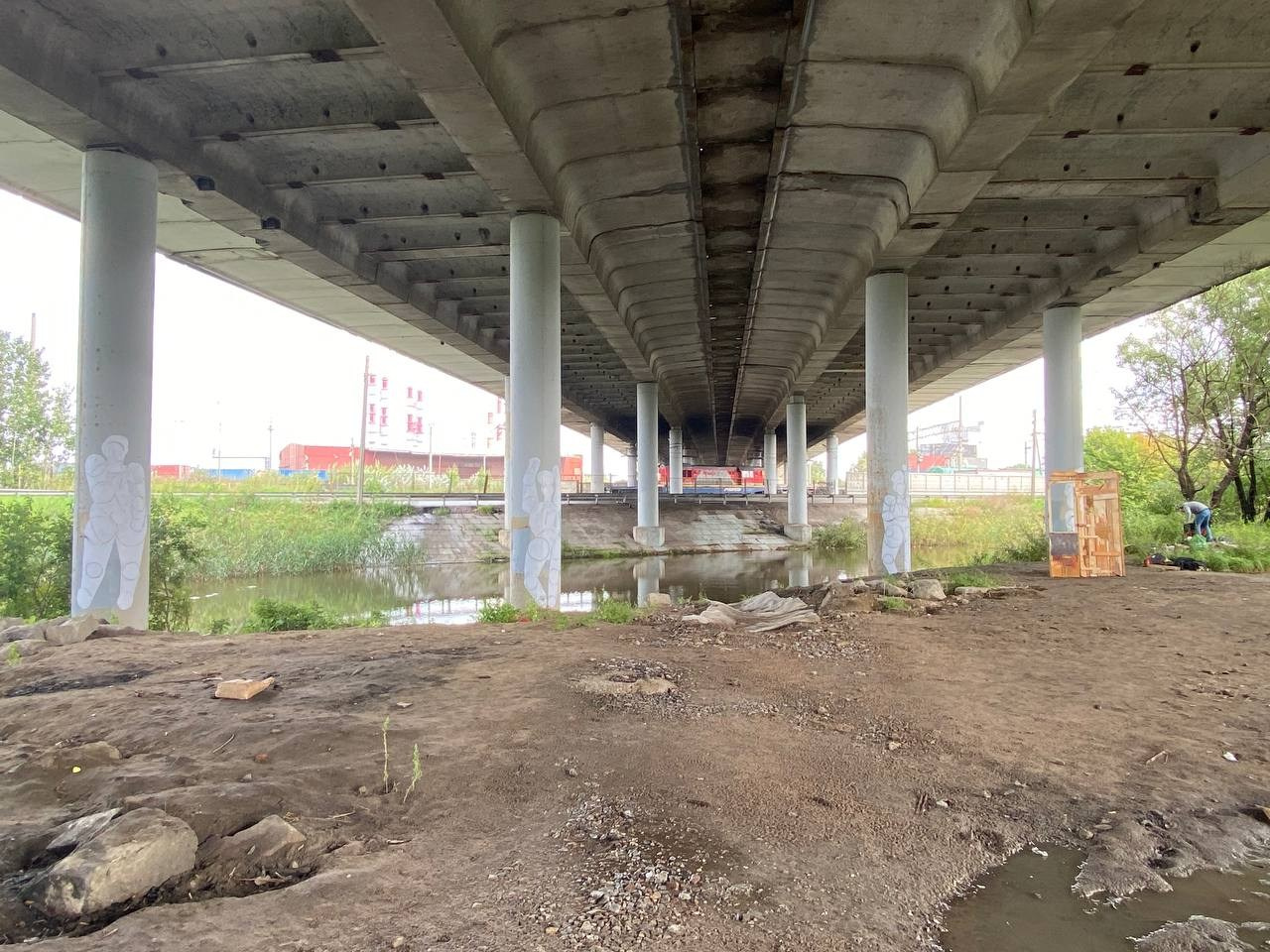 Красненькая биеннале. Лилия Ким. Междисциплинарный художник