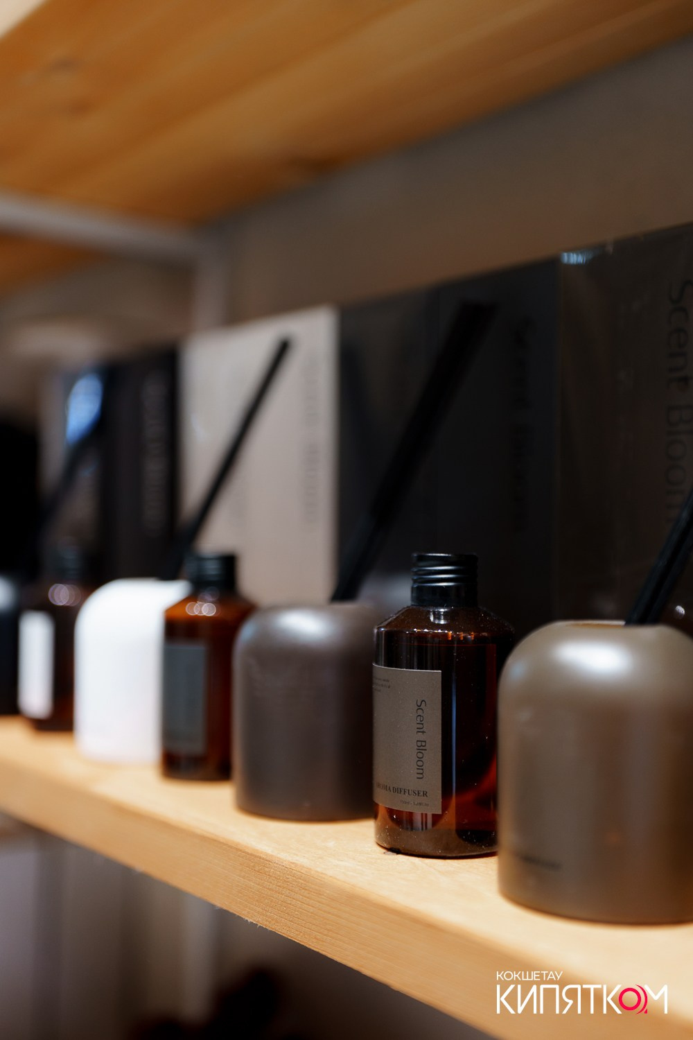 ART HOUSE. КИПЯТКОМ КОКШЕТАУ