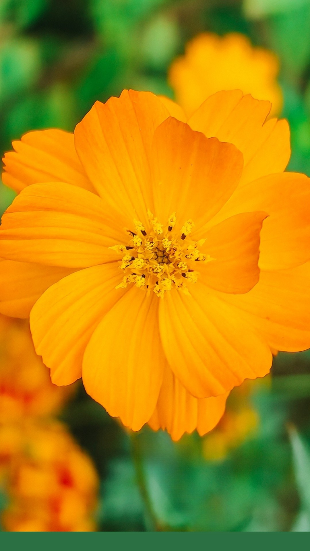 Академия фотографии. Фото/Ретушь/Обучение