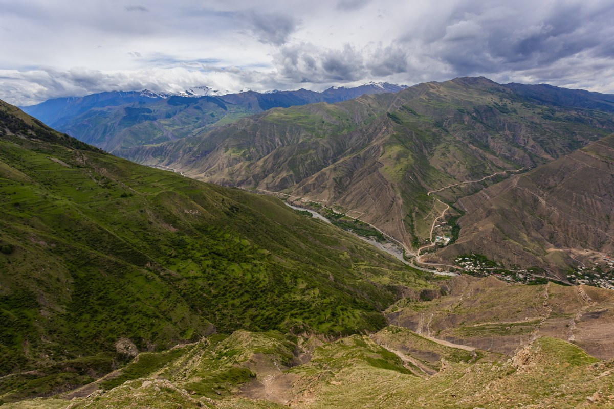 Язык Тролля. Photomantis