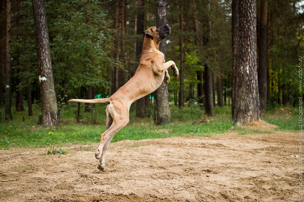 На природе. Семейный и детский фотограф в Москве Мария Быкова