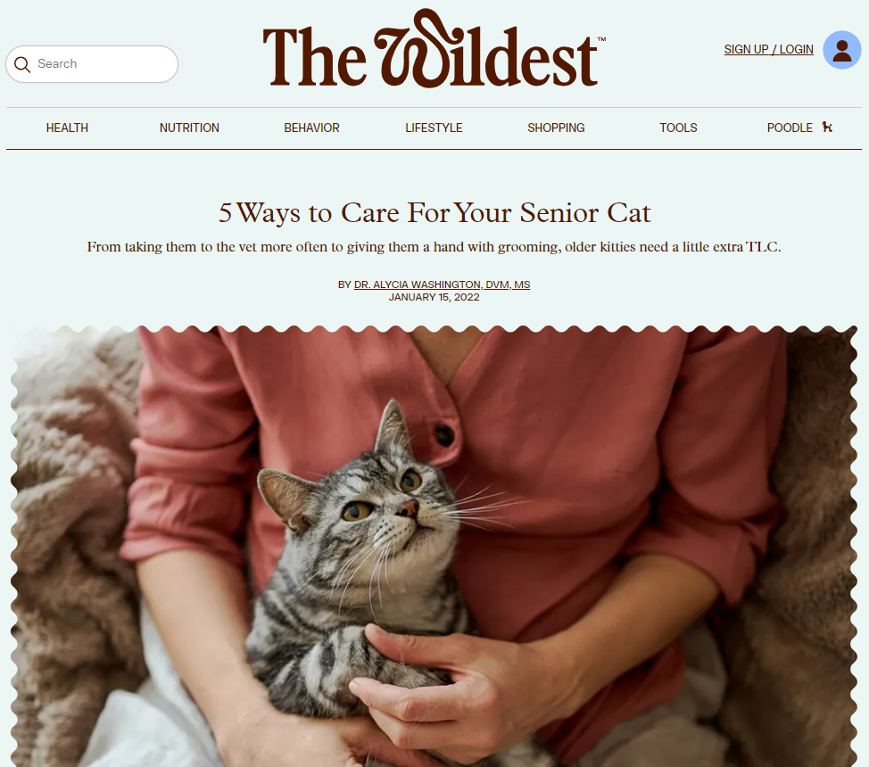 Фото для сайтов. Mokochrome Фото Видео на Камеры, Дрон, 360 и Экшен