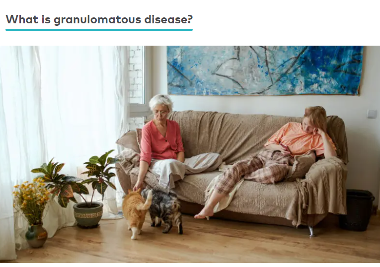 Фото для сайтов. Mokochrome Фото Видео на Камеры, Дрон, 360 и Экшен