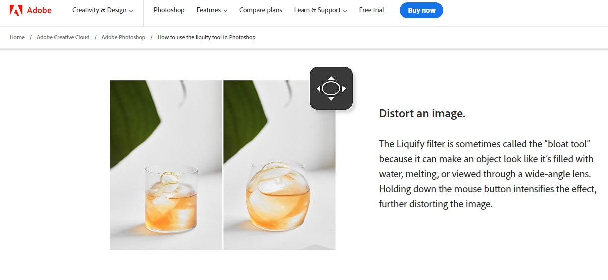 Фото для сайтов. Mokochrome Фото Видео на Камеры, Дрон, 360 и Экшен