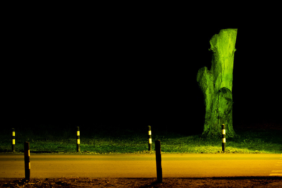 — то что нравится. Фотограф Кочкаев Роман