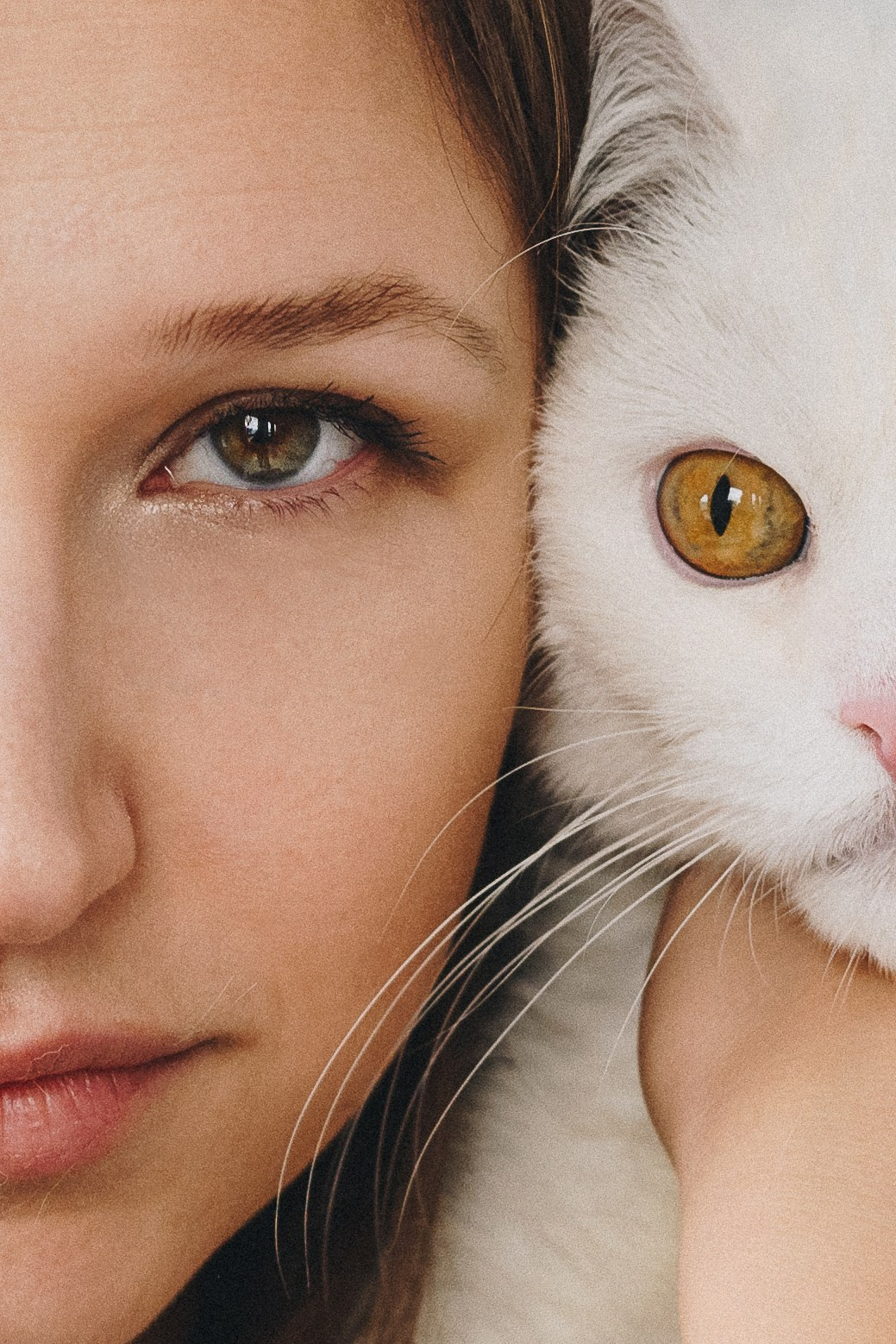 Natasha & Ivan. Natalia Finch Photography — Family, Kids & Pet Photographer in Chicago, IL