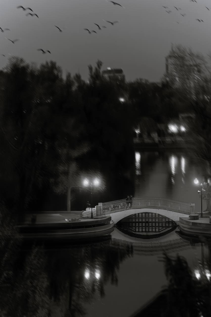 Пейзажи и город