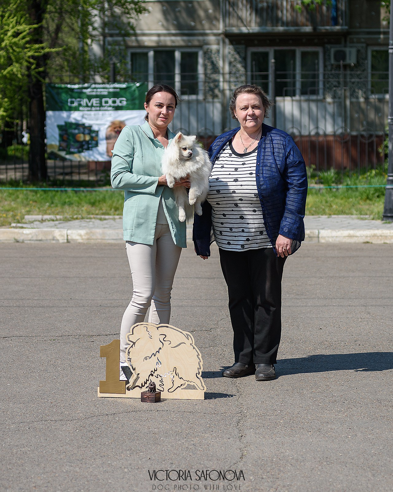 19 мая 2024 Благовещенск. Монопородная выставка шпицев. Фотограф анималист Благовещенск. Сафонова Виктория