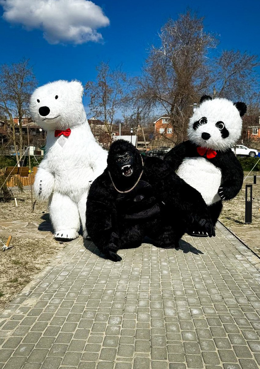 Эксперсс поздравление.ростовые куклы, медведь, панда, горилла. Организатор праздников. Ведущая Марина Гребенникова