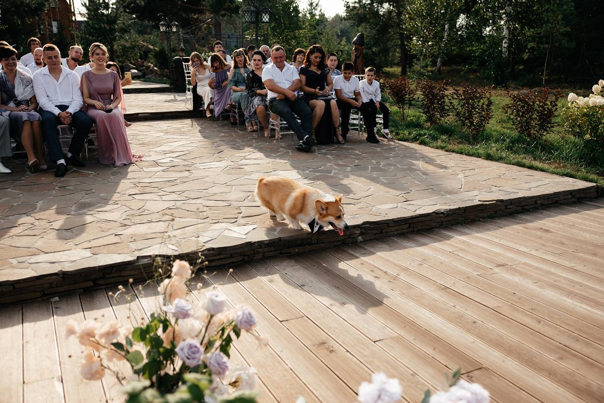 Season'21|august 20. Свадебный и семейный фотограф Москва Рязань Елена Клюева