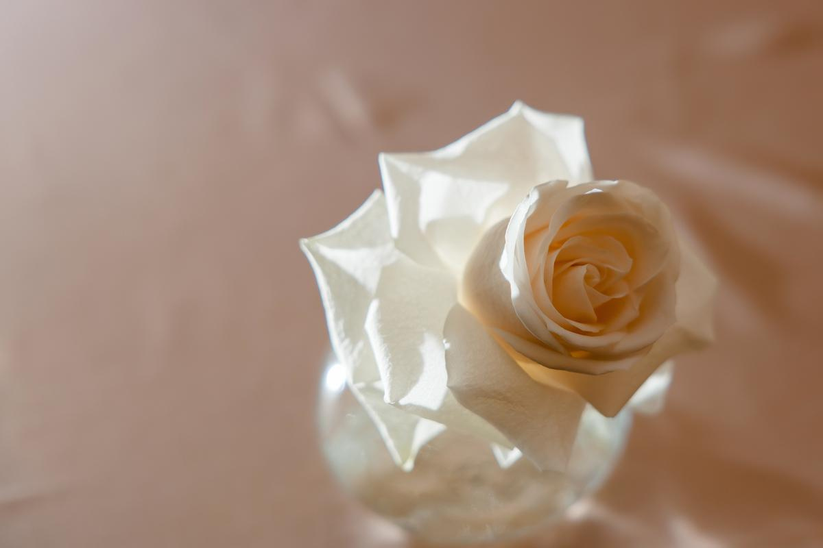 Season'21|august. Свадебный и семейный фотограф Москва Рязань Елена Клюева