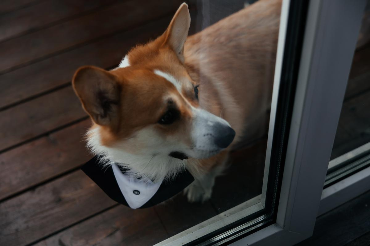 Season'21|august 20. Свадебный и семейный фотограф Москва Рязань Елена Клюева